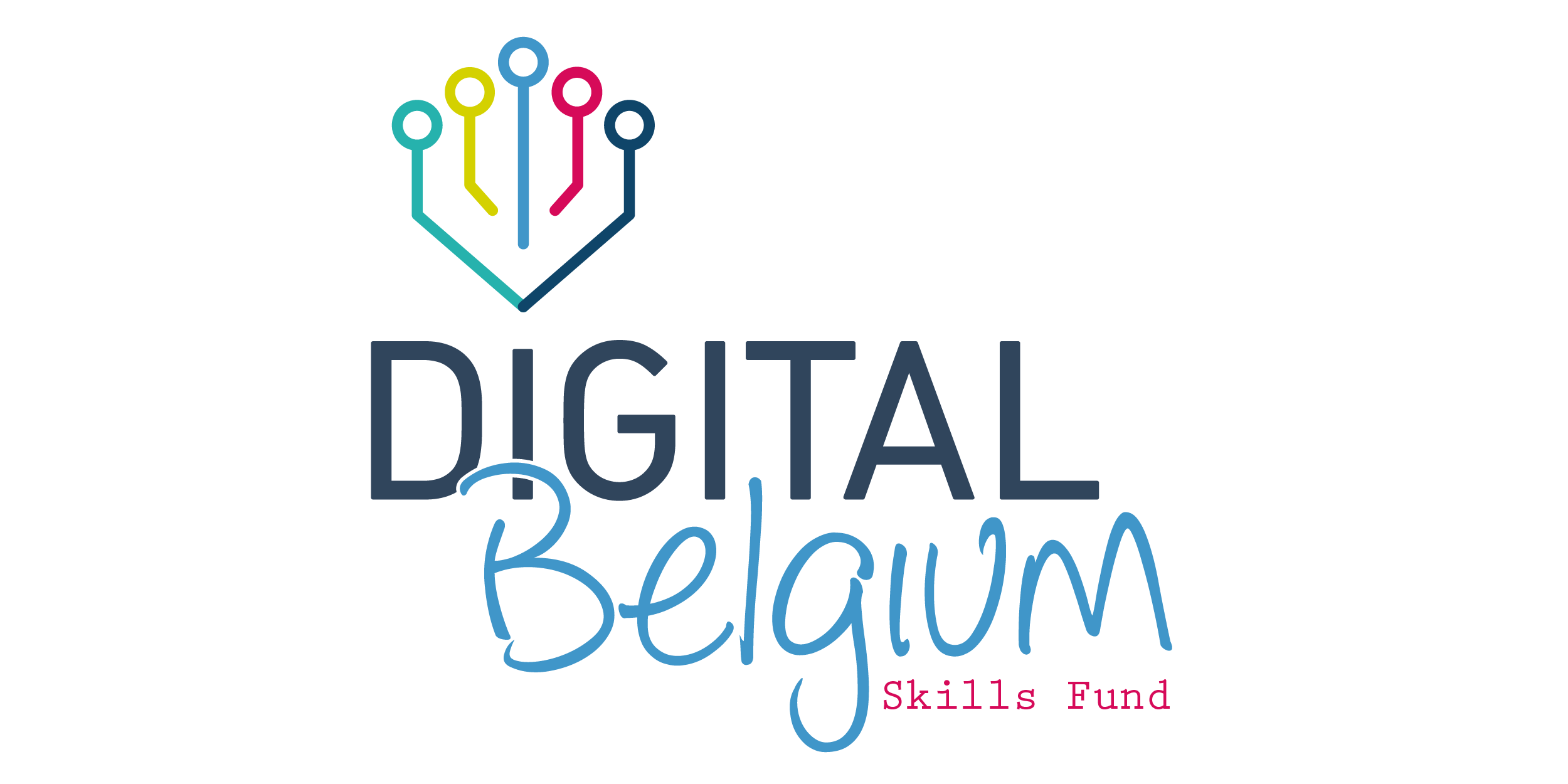 Digital Belgium Skills Fund